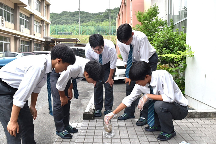 写真