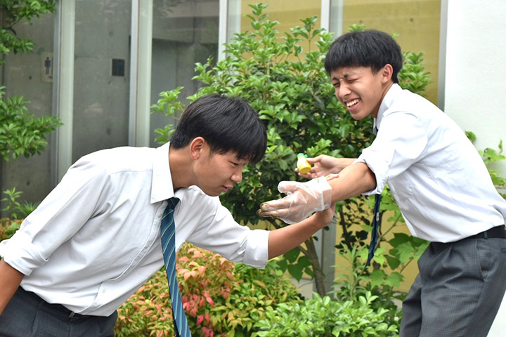 写真